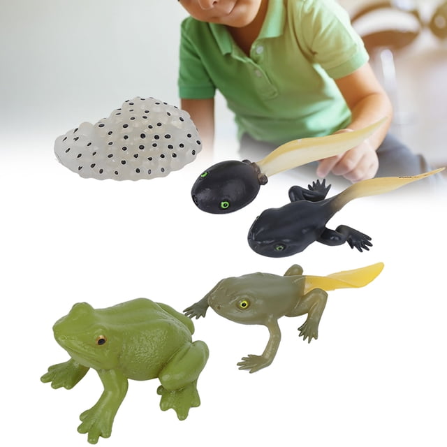 Animal Statue Durable Photography Props Education Statue Toy Animal Model Home Decoration for Educational Purposes