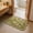 Multicolor634, variant on Tuvgenk Flower Area Rugs Rectangle Practical Multicolor Doormats Balcony Nylon,Spandex 23.62x15.75 in Fuzzy