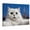 B, variant on XaaKee Wall Art Humorous White Persian Selfie Travel Concept Artwork Modern Photography Inner Framed 18*12Inch