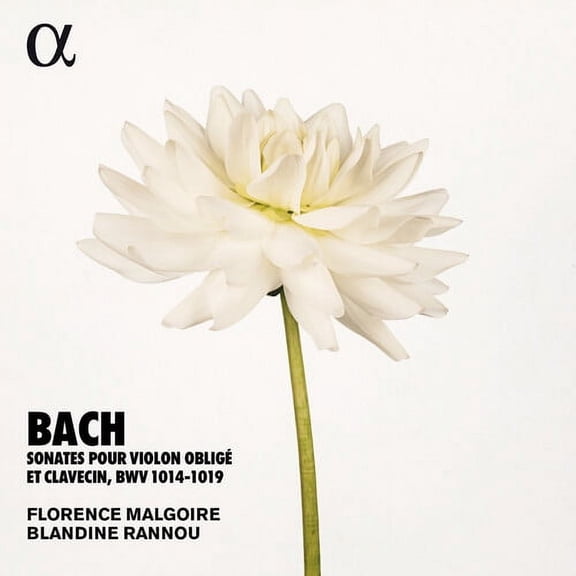 Bach,J.S. / Rannou / Malgoire - Sonates Violon Oblige - Music & Performance - CD