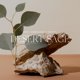 thumbnail image 3 of Difusor de ambiente para el hogar Antica Farmacista Desert Sage 250 ml, 3 of 7
