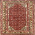 thumbnail image 1 of Ahgly Company Indoor Square Traditional Light Copper Gold Persian Area Rugs, 5' Square, 1 of 6