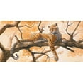 thumbnail image 3 of Norman, Frank 14x9 Black Modern Framed Museum Art Print Titled - Laying tiger, 3 of 5