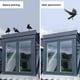 thumbnail image 4 of Repelente de aves duradero, fácil de instalar, material resistente a la intemperie, refleja la luz, uso flexible, antinidos de aves, 4 of 5