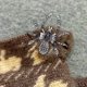 thumbnail image 5 of Anillo de Araña de Halloween, Diseño Oscuro y Misterioso, Aleación, Artesanía Exquisita, Proceso de Galvanoplastia, Piedras Preciosas Incrustadas, Accesorio de Moda Único, Perfecto para Fiestas, Tama, 5 of 6