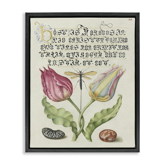 Stupell Industries Vintage Intertwined Flowers Text & Numbers Painting Black Floater Framed Canvas Art Print Wall Art, 17 x 21