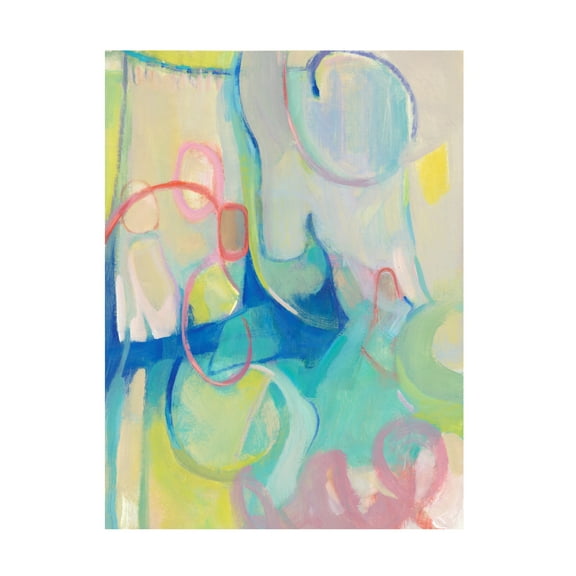 Tim O Toole 'Lasso II' Canvas Art