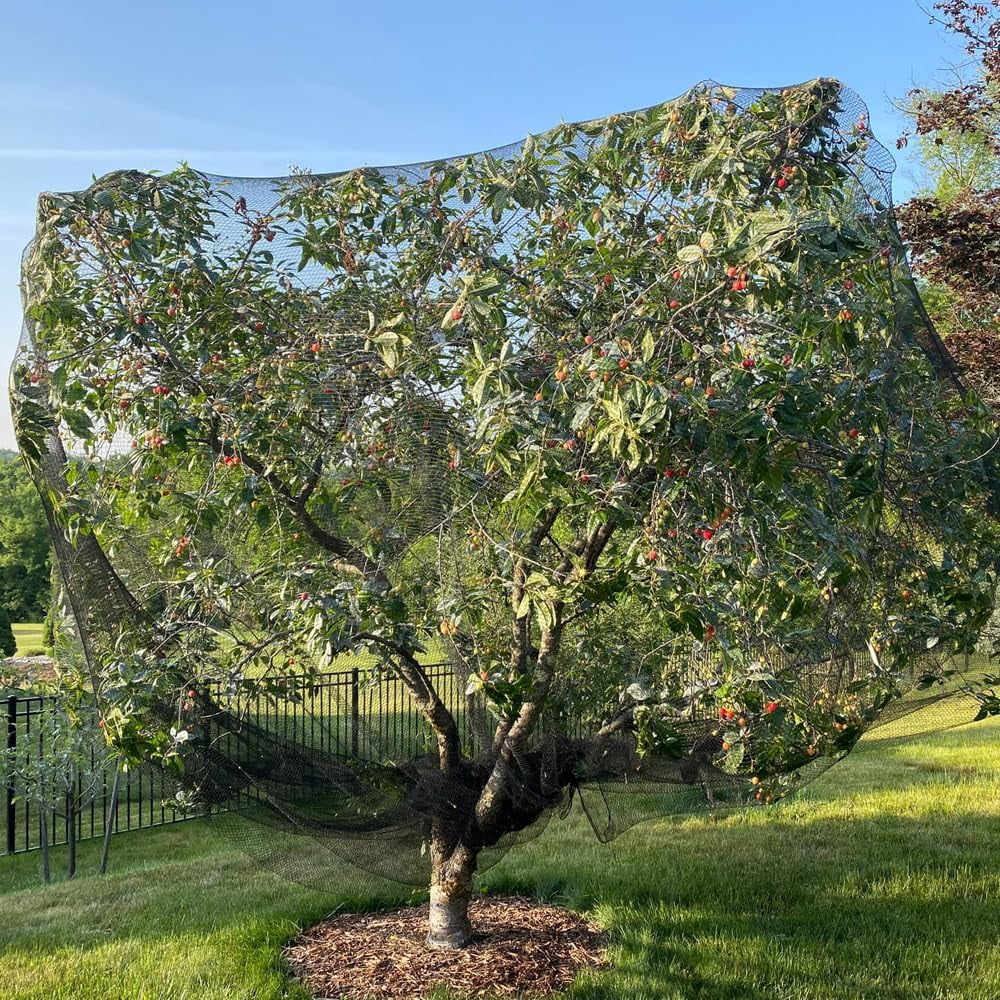 Bird Netting for Chicken Coop 30x30Ft, 1/2" Mesh, Strong Woven Poultry Netting Roof Cover for Chicken Run, Heavy Duty Bird Net for Fruit Trees, Blueberry, Vegetables, Garden Protection