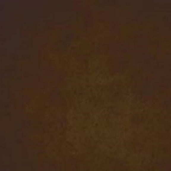 Professional Fast Drying Concrete Stain - Easy to use! Ten Second Color Acetone Dye Concrete Stain - Espresso Bean 32oz