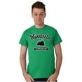 thumbnail image 5 of Minnesota Cute Pine Tree Souvenir Men's Graphic T Shirt Tees Brisco Brands M, 5 of 6