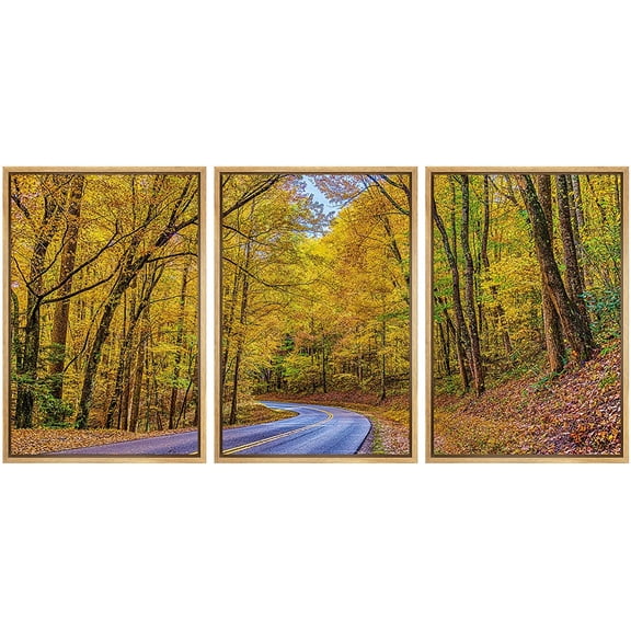 wall26 Framed Canvas Print Wall Art Set Autumn Fall Tree Forest Country Road Nature Wilderness Photography Realism Decorative Landscape Colorful for Living Room, Bedroom, Office - 16"x24"x3