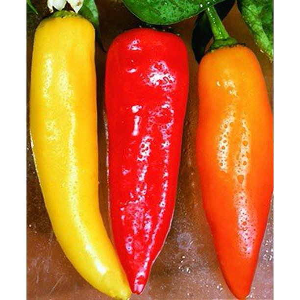 Hot Banana Pepper Plant Two (2) Live Plants Not Seeds
