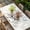 Beige, variant on Farm Animals Table Cloths for 4 Foot Rectangle Tables, Watercolor Farmhouse Cow Pig Chickens Sheeps Patio Waterproof Elastic Fitted Tablecloths, Washable Rectangular Table Cover for Camping