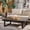 Brown, variant on Safavieh Fash Outdoor Morden Metal Coffee Table, Black