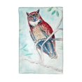 thumbnail image 1 of Betsy Drake KT732 Serviette de Cuisine Hibou en Teal, 1 of 1