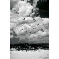 thumbnail image 2 of Alan Hausenflock 28x40 Gallery Wrapped Canvas Wall Art Titled - Pelicans over Dunes VI, 2 of 4