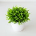 thumbnail image 5 of 2PCS Artificial Potted Small Greenery,Realistic Mini with Flowers for Indoor Home Decor,Desktop Table Centerpiece for Bathroom,Farmhouse Displays,Mother's Day,Christmas Gifts, 5 of 6
