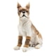 thumbnail image 2 of Advancent 2a Juego de 2 fundas protectoras de algodón para patas de perros y gatos, imprescindibles para mascotas activas, calcetines para Ropa para mascotas S+2 pares, 2 of 6