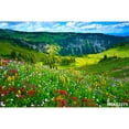thumbnail image 3 of Fondos de fotografía de paisajes naturales con cielo azul, nubes blancas, montañas, árboles y ríos para bebés, 3 of 5