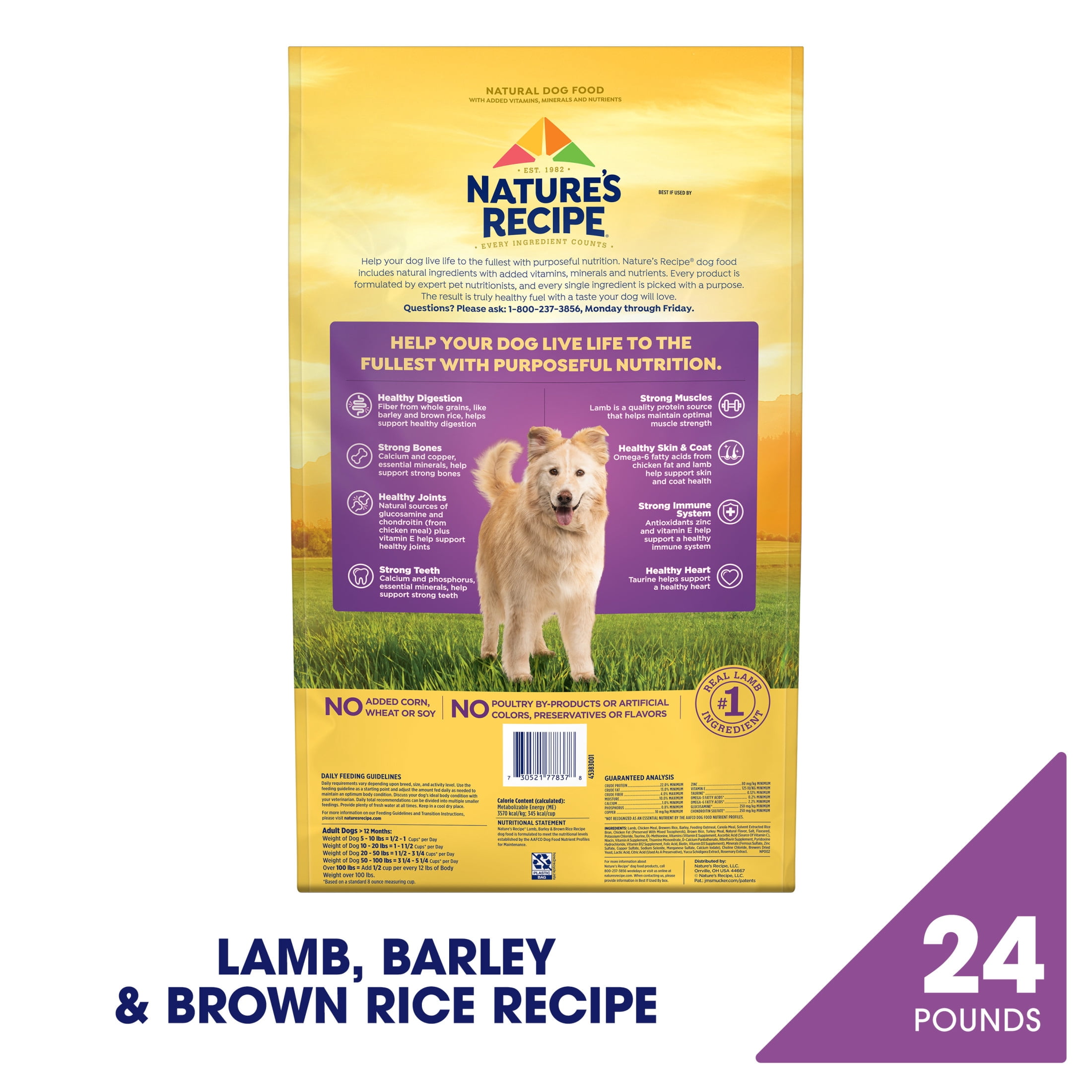 Nature's Recipe Lamb, Barley & Brown Rice Adult Dry Dog Food, 24 lb Bag