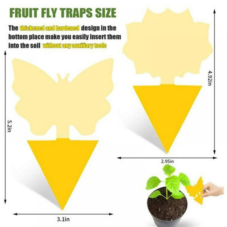 30 Pack Fungus Gnat Sticky Traps Gnat Killer Indoor, Non-Toxic and Odorless Fungus Gnat Traps for House Indoor Dual-Sided Fruit Fly Traps for Indoors