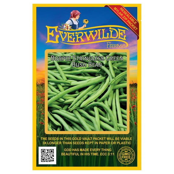 Everwilde Farms - 100 Burpee Stringless Green Bush Bean Seeds - Gold Vault Jumbo Bulk Seed Packet