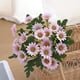 thumbnail image 5 of Bearachild 5 piezas de flores artificiales Plantas falsas Crisantemo de seda Rosa, 5 of 6