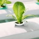 thumbnail image 5 of FELTECHELECTR 50 macetas de plástico con ranuras para cultivo hidropónico de jardín., 5 of 6
