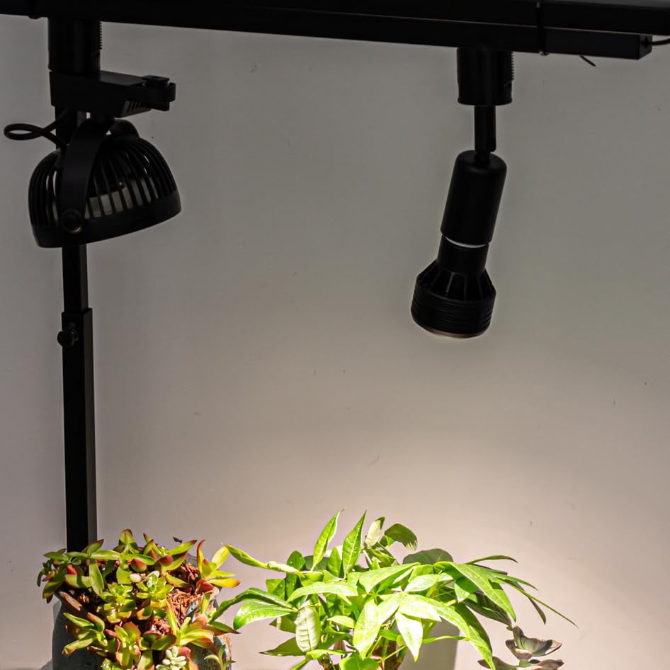 KAYYELAMP Set of Three Black Simple Track Light H-Type E26 Base Adjustable Angle Mini Track Head Lighting for Plants Shelf Kitchen Wall Painting Counter(No Bulb, Track)