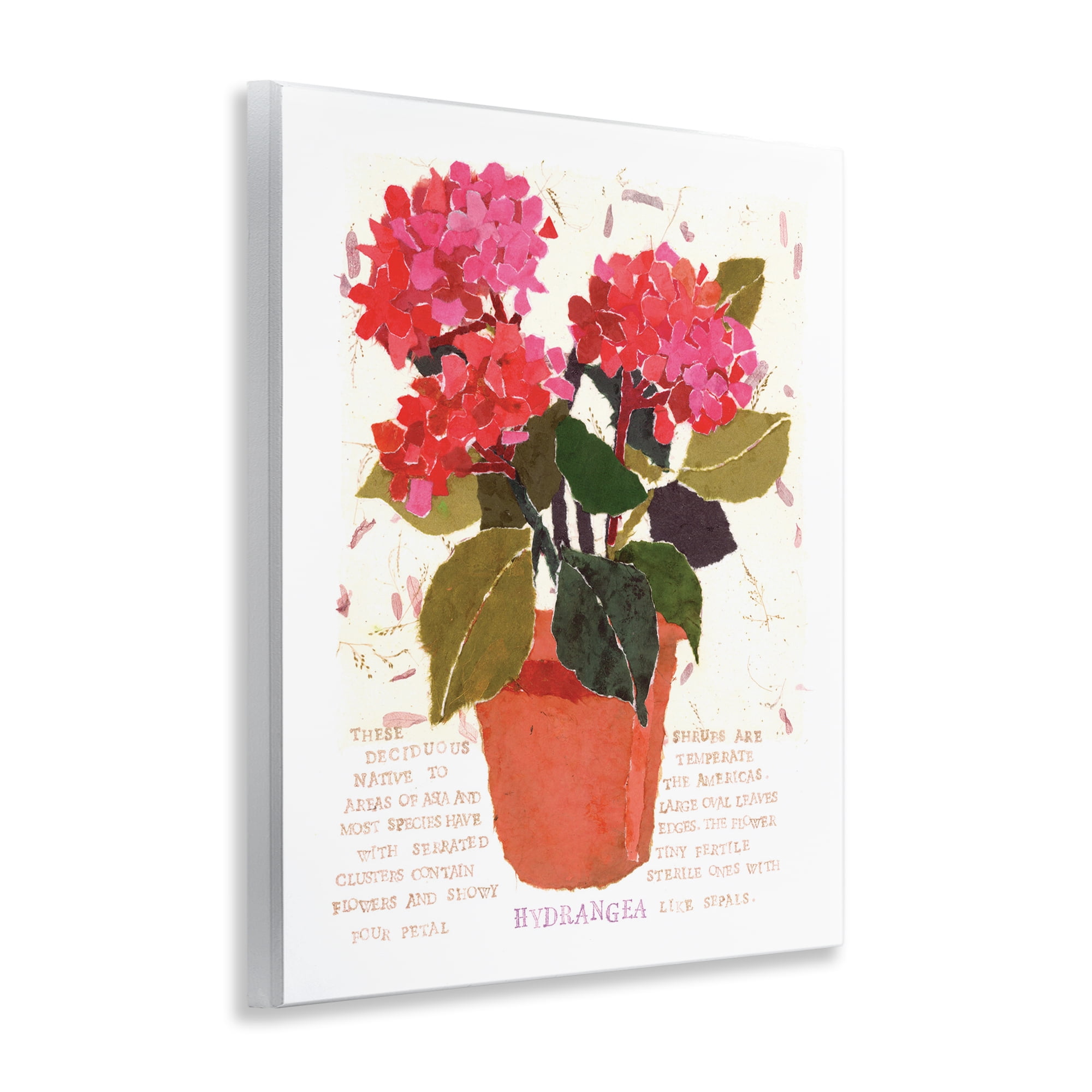 Stupell Industries Bold Red Hydrangea Botanical & Floral Painting Unframed Art Print Wall Art, 11 x 14