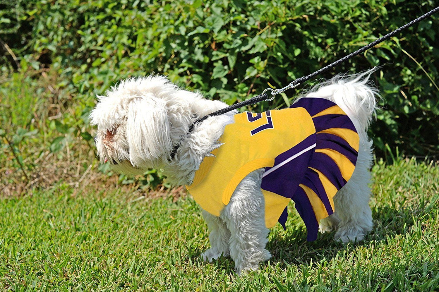 Game Day Dogs LSU Cheerleader Dog Dress 