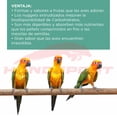 thumbnail image 2 of Alimento Zupreem fruitblend aves medianas grandes loro conuro 907 gr. Zupreem Zupreem Alimentos ave, 2 of 4