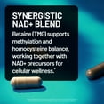 thumbnail image 5 of NatureWise NAD+ Support Complex - Nicotinamide Riboside + Resveratrol to Support NAD+ Supplement for Healthy Aging + Clinically Tested Quercefit - USA Manufactured - Non-GMO, 60 Count[30-Day Supply], 5 of 12
