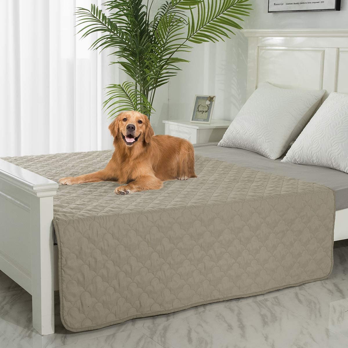 king size pup protector