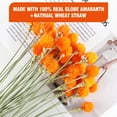 thumbnail image 3 of Trianu 30Pcs Dried Globe Amaranth Flower with Wheat Straw Bouquet for Vase Home Decor Party DIY Arrangement (Orange, 15.7inch/40cm), 3 of 9