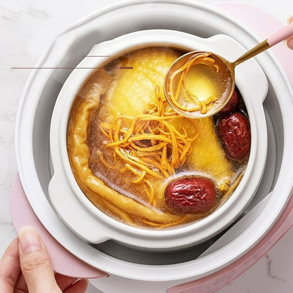 1L Electric Stew Pot, Smart Ceramic Cooker, Anti Dry Burn, 24H Reservation,  Plug 110V