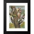 thumbnail image 2 of Johann Friedrich Naumann 11x14 Black Modern Framed Museum Art Print Titled - Dendrocopus Medius, Dendrocopus Minor, 2 of 5