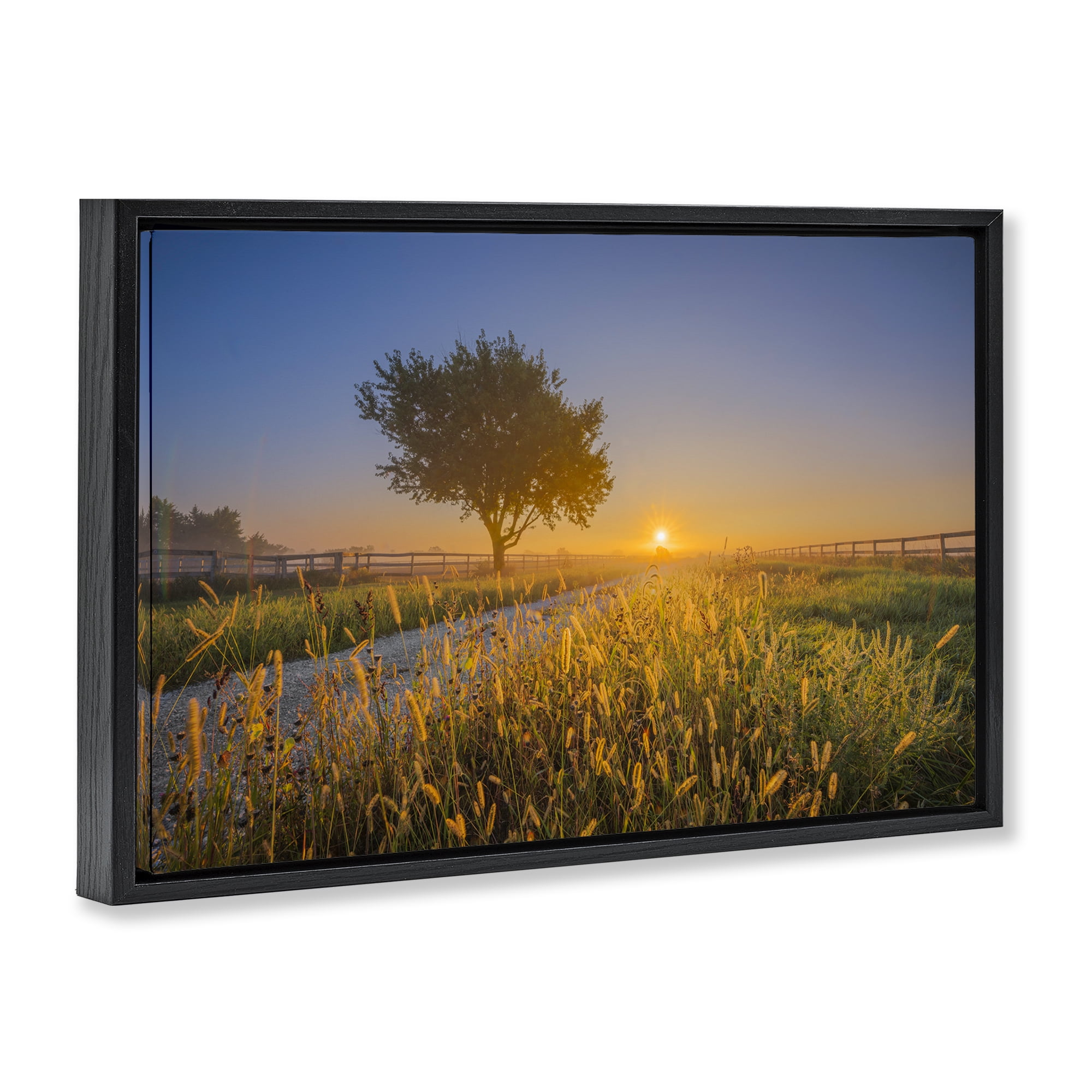 Stupell Industries Rising Sun Horizon Landscape & Nature Photography Black Floater Framed Canvas Art Print Wall Art, 25 x 17