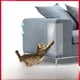 thumbnail image 1 of Adhesivo protector para sofá antiarañazos de gato, PVC transparente, esmerilado, movible, antiarañazos, para muebles, sofá, adhesivo protector antiarañazos de gato, 1 of 5