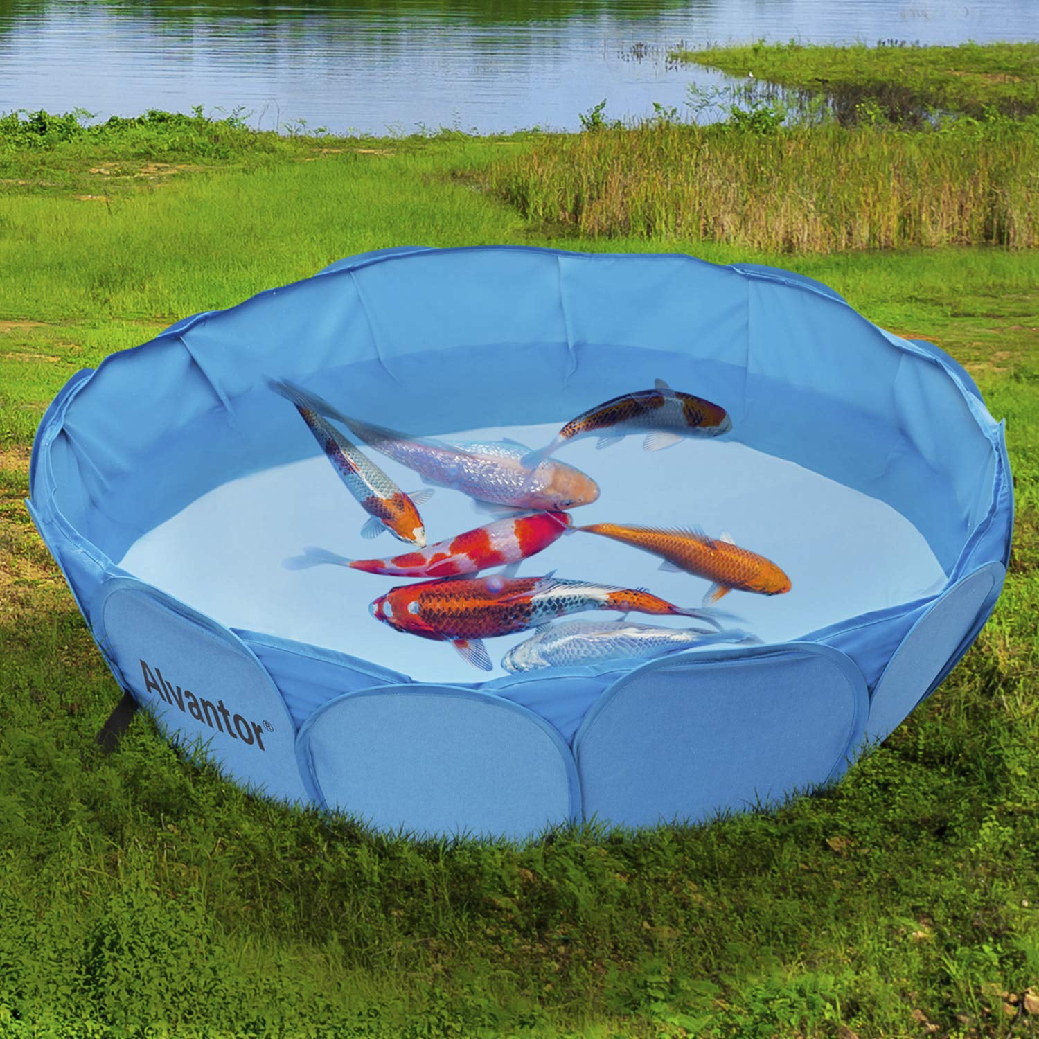 Alvantor Pet Swimming Pool Dog Bathing Tub Kiddie Pools Cat Puppy Shower Spa Foldable Portable Indoor Outdoor Pond Ball Pit 42 x12 Patent Pending