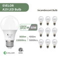 thumbnail image 3 of Bombillas LED Evelor A19 9W 800 lm 5000 K E26 110 V, 3 of 7