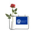 thumbnail image 1 of Clean Decisions Affect Themselves Artificial Rose Flower Hanging Vases Decoration Bottle, 1 of 3
