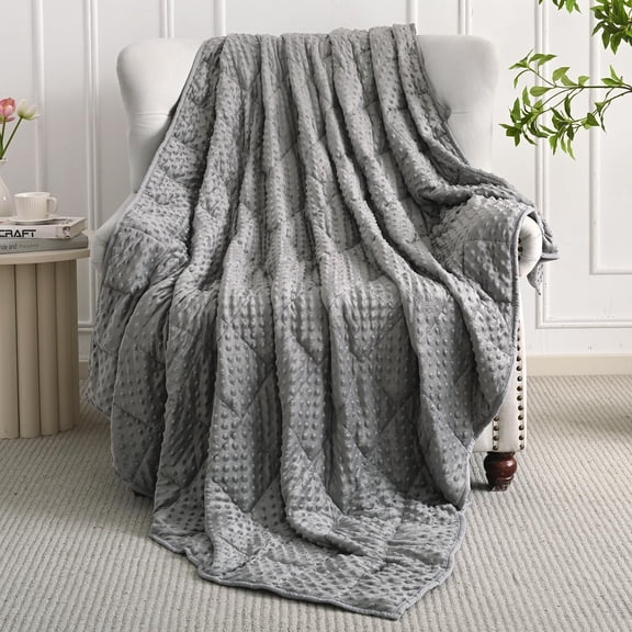 Weighted Blanket for Adults Queen Size 15 lbs, Soft Cooling Heavy Minky Blanket for Sleep, Washable Throw Blanket with Glass Beads, 60 x 80 Inches, Grey