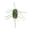 Baby Bass, variant on Yamamoto Fuzzy Nut – Baby Bass
