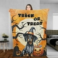thumbnail image 3 of Trick or Treat Dachshund Needs Candy Happy Halloween Night Cozy Fleece Blanket Wiener Dog Lover Gifts Idea Warm Soft Throw Blanket - 02020, 3 of 5