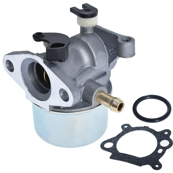 799866 Carburetor Replacement for Briggs & Stratton 794304 796707 790845 799871 Most 124000 122000 Model Engines for Troy Bilt TB230 2009 Toro Recycler 22 Inch Mower with 190cc Engine