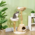 thumbnail image 2 of Cat Tree PawHut de madera de 41 cm con 2 rascadores y bolas de juguete, 2 of 9