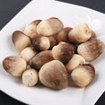 thumbnail image 4 of YB Straw Mushrooms, 4 of 6