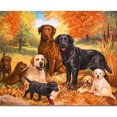 thumbnail image 1 of Wdftyju Pintura al óleo de perro por números, lienzo acrílico artesanal pintado a mano (WH-1226) Wdftyju 4hx7vh4zz7eb2zh1D01, 1 of 9