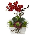 thumbnail image 2 of Nearly Natural Seasonal Orchid & Succulent Garden w/White Wash Planter, 2 of 4